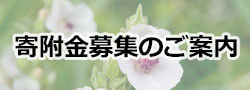 寄付金募集のご案内