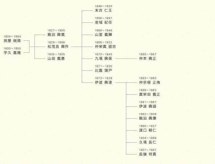 泊手の系統図