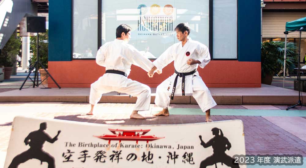 Okinawa Dento Karatedo Shinkokai