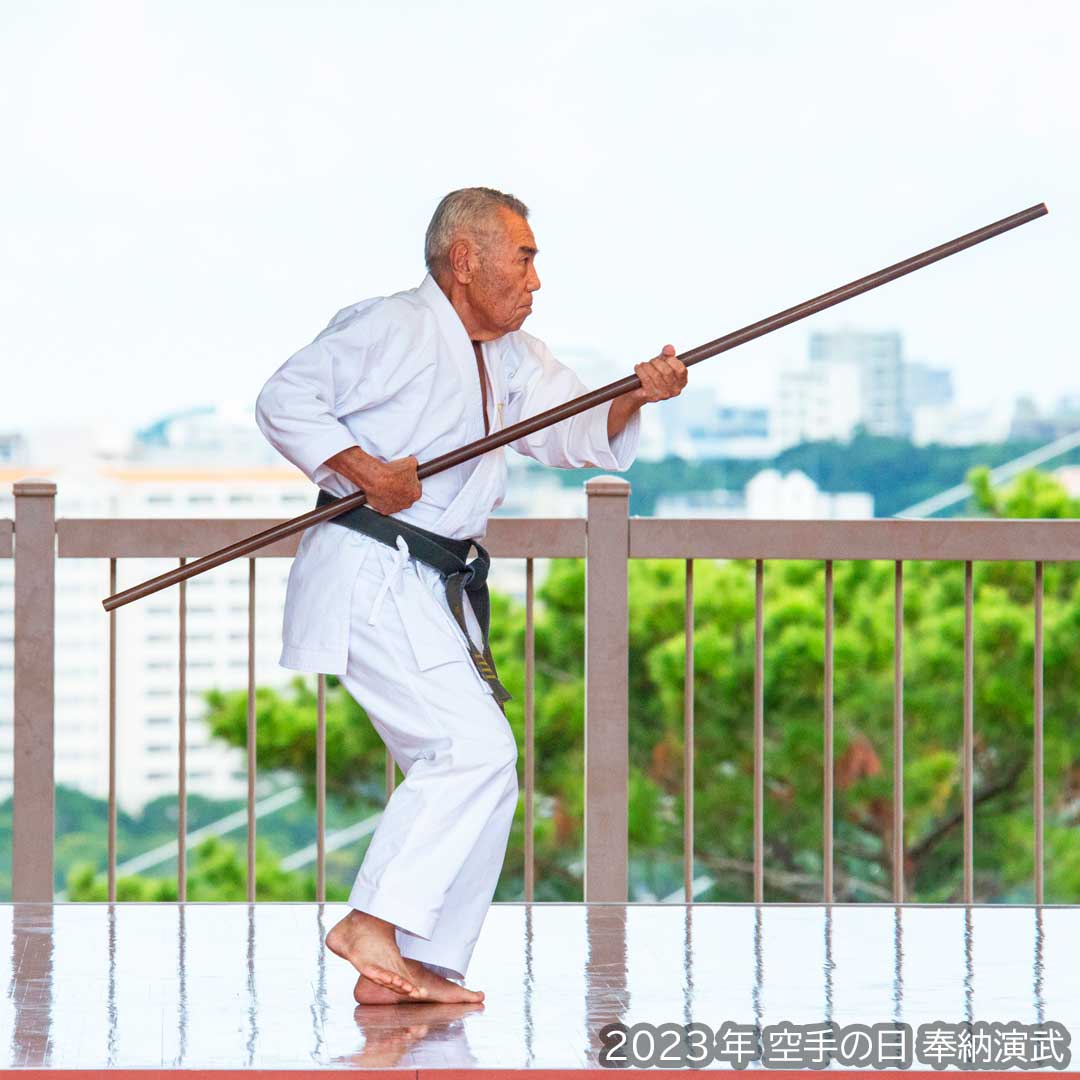 Okinawa Dento Karatedo Shinkokai