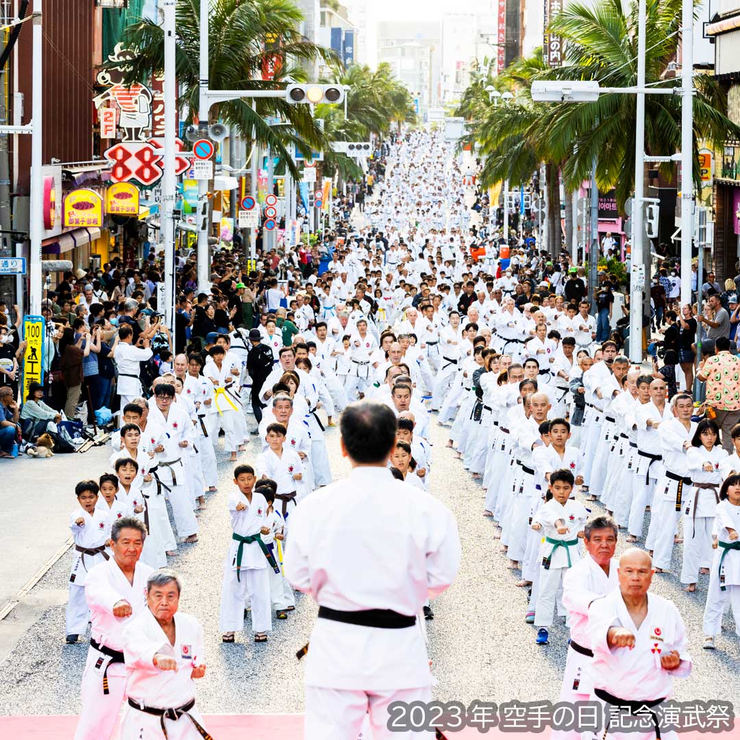 Okinawa Dento Karatedo Shinkokai