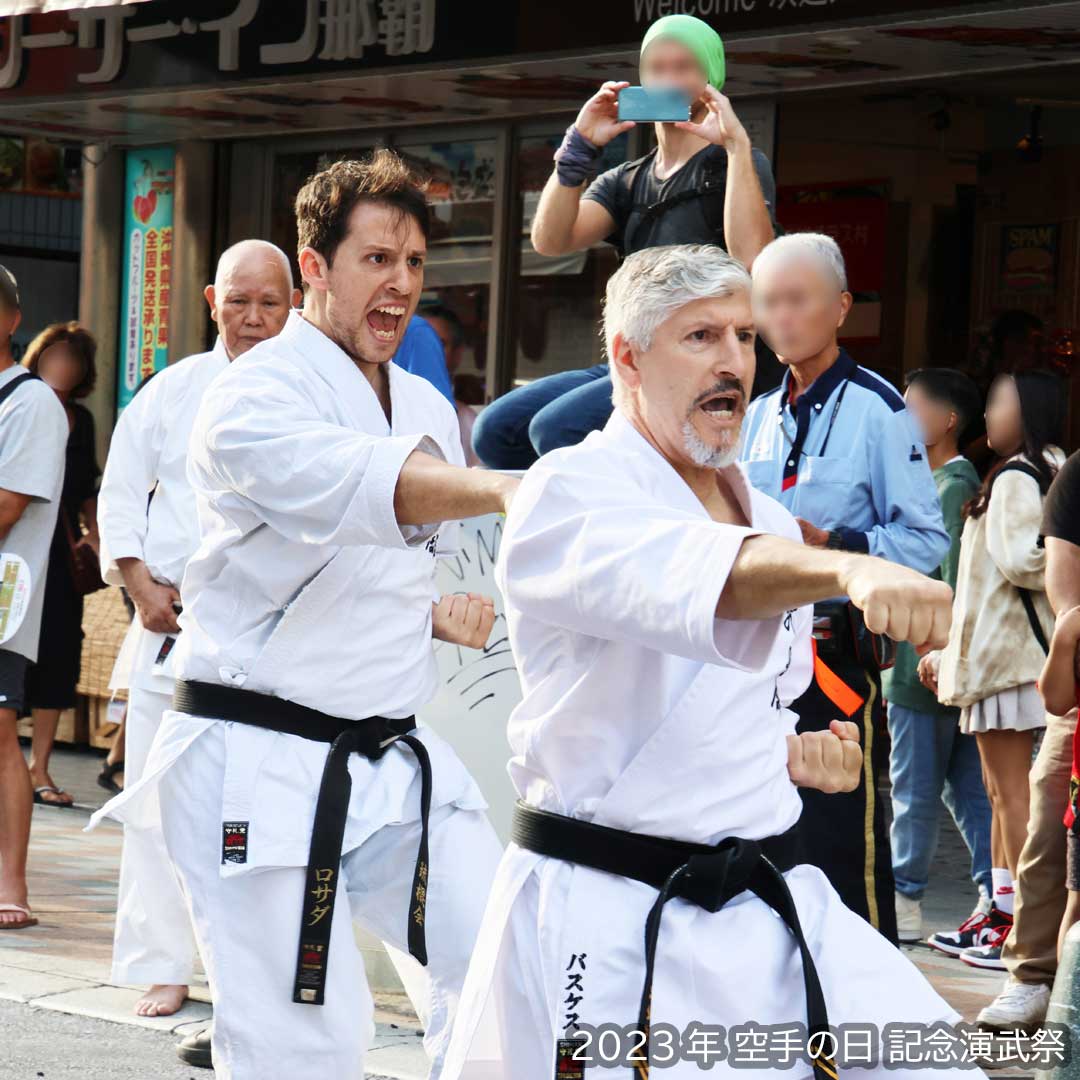 Okinawa Dento Karatedo Shinkokai