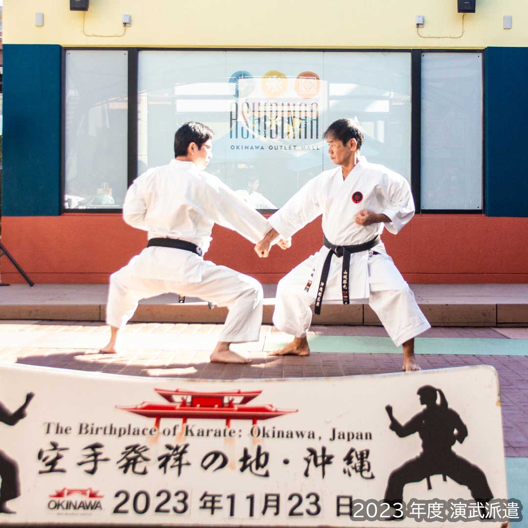 Okinawa Dento Karatedo Shinkokai